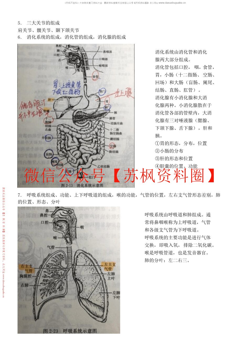 基础医学概论